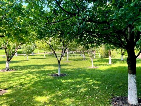 дом по адресу Тиханська вул., 34