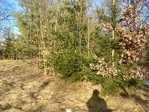 ділянка за адресою Івана Франка, 52