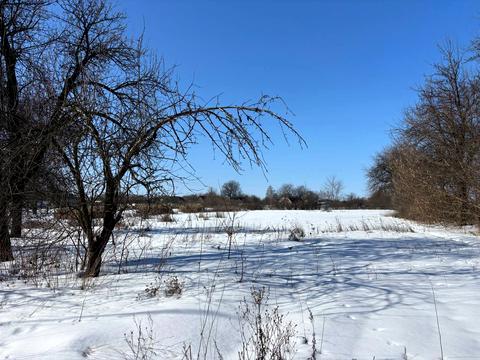 дом по адресу пгт. Михайло-Коцюбинское, Вишнева, 20