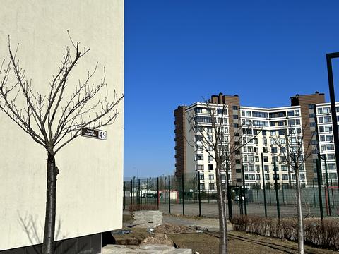 квартира за адресою Березова вул., 45