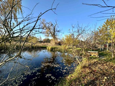 участок по адресу 