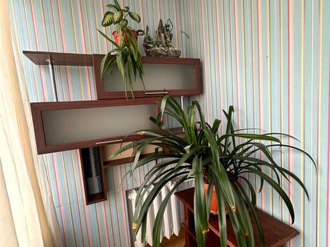 квартира по адресу Голосеевский просп. (40-летия Октября), 68