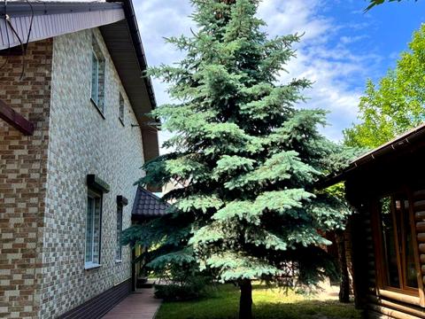 дом по адресу Шевченко ул.