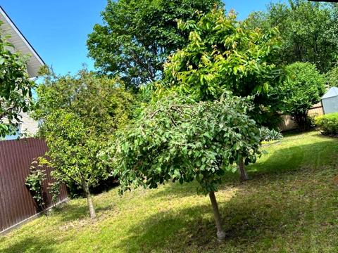 дом по адресу Шевченко ул.