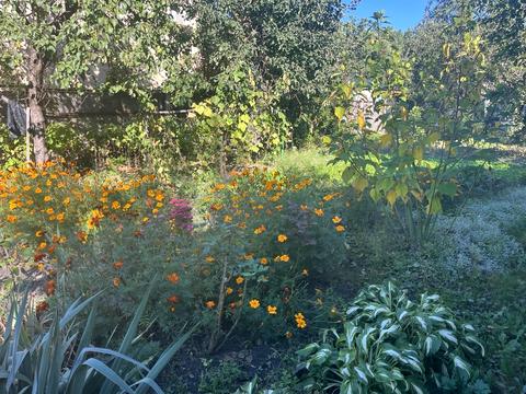 ділянка за адресою Київ, Академіка Глушкова просп.