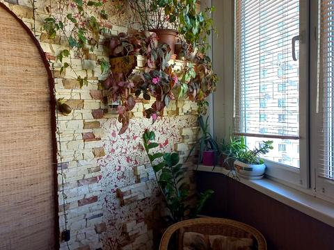 квартира по адресу Лесковская ул., 24