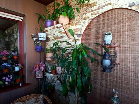 квартира по адресу Лесковская ул., 24