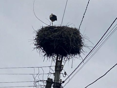 будинок за адресою Центральна вул.