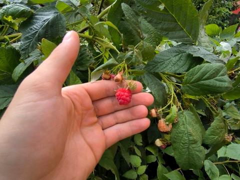 будинок за адресою Миколи Тарнавського вул. (Мічуріна), 15