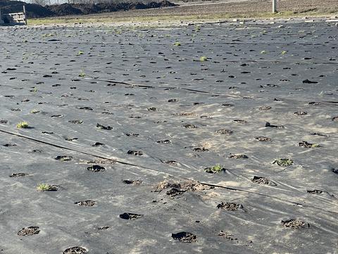 ділянка за адресою Уютная