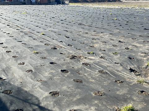 ділянка за адресою Уютная