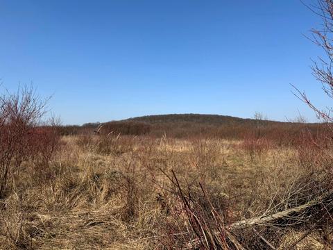 участок по адресу Озёрная ул.