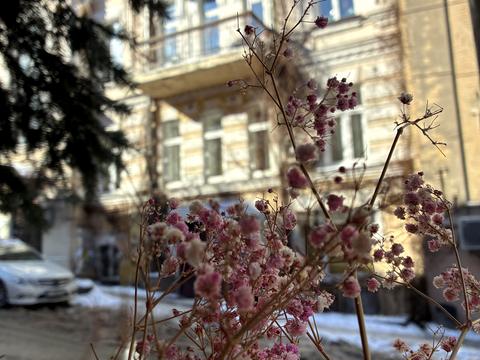 квартира по адресу Малоподвальная ул., 4
