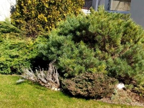 дом по адресу Мускатная ул. (Зои Космодемьянской), 1