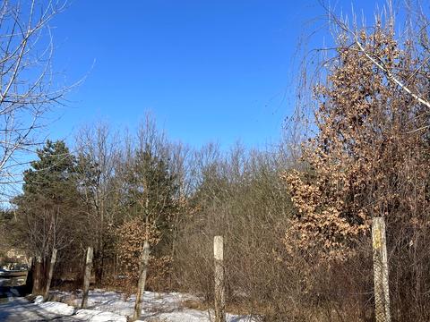 будинок за адресою с. Миколаївка, Садова