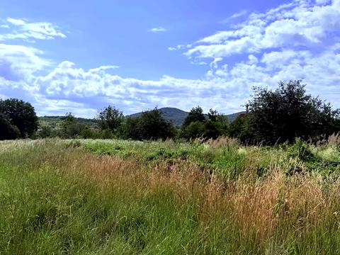 ділянка за адресою с. Великі лази, 