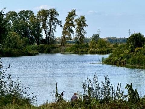 дом по адресу Старое Село ул.