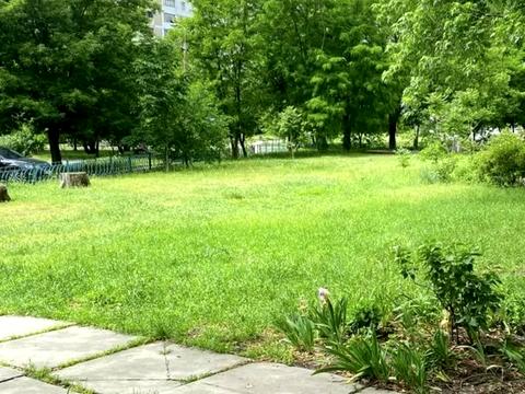 квартира по адресу Тростянецкая ул., 7-В