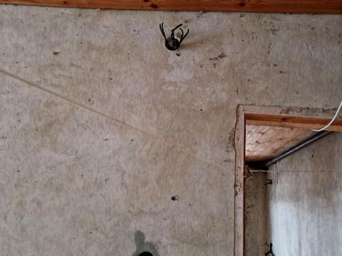 будинок за адресою Космонавтів вул., 47