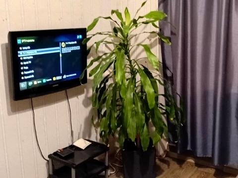 квартира за адресою Сім'ї Глодан вул., 6/2