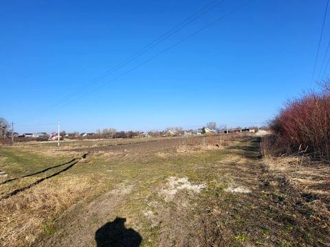 ділянка за адресою Озерна