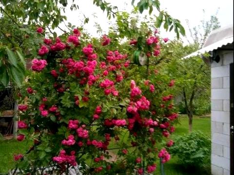 будинок за адресою 162-га Садова вул.