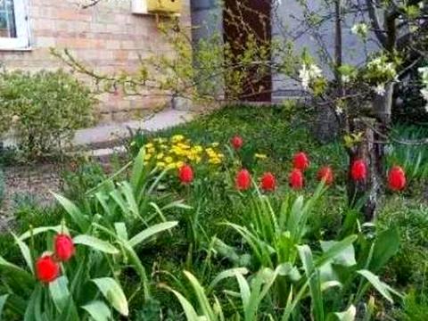 будинок за адресою 162-га Садова вул.