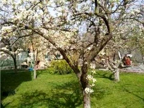 дом по адресу 162-га Садова ул.