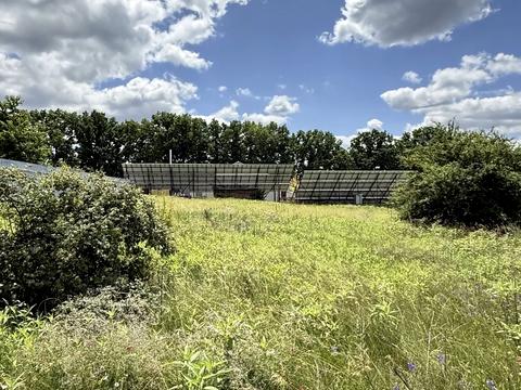 ділянка за адресою Тіниста