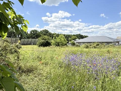 участок по адресу Кропивницкий, Тіниста
