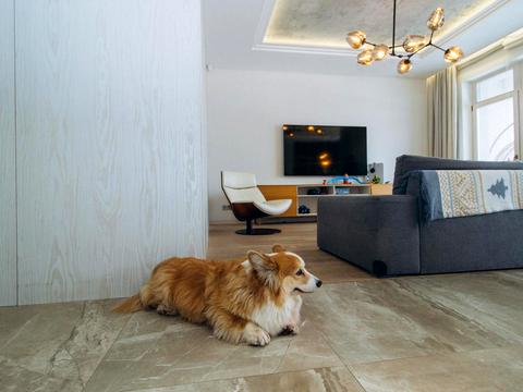 квартира за адресою Ділова вул. (Димитрова), 4