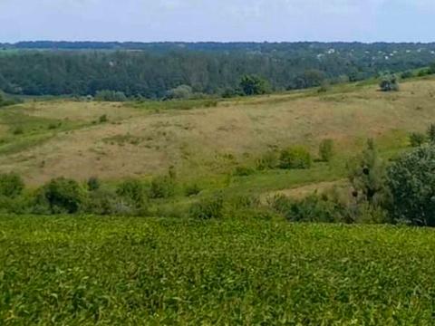 участок по адресу 