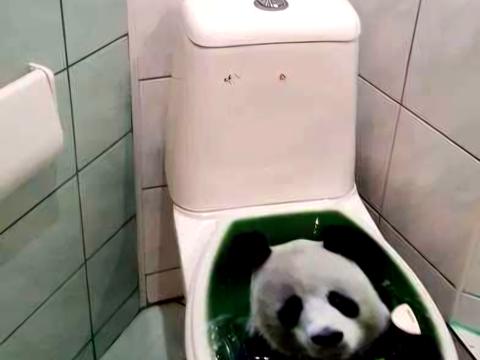 квартира за адресою Йорданська вул. (Лайоша Гавро), 18