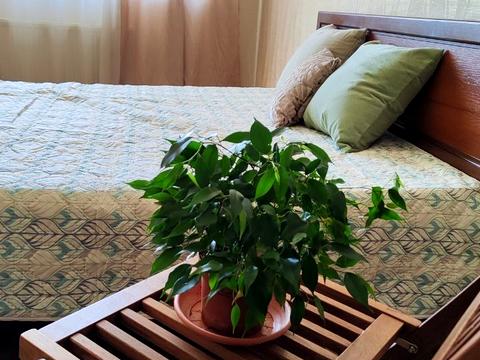 квартира за адресою Миколи Лаврухіна вул., 12