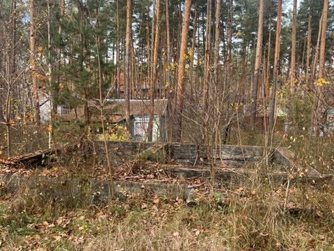 участок по адресу Лесная ул., 1