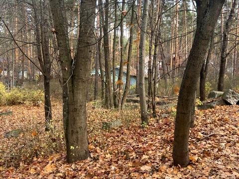 участок по адресу Лесная ул., 1