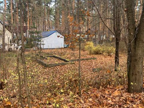 участок по адресу Лесная ул., 1