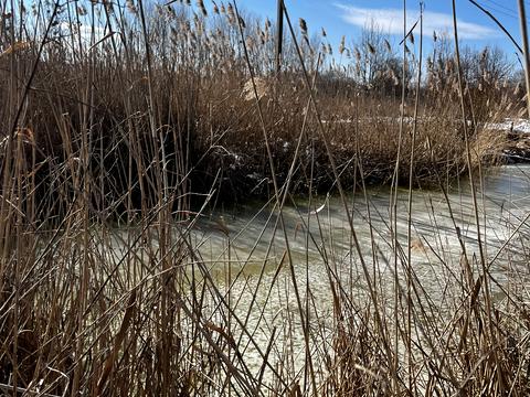 участок по адресу Третя, 68