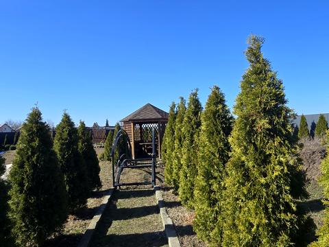 будинок за адресою с. Лебедівка, Шевченко, 8