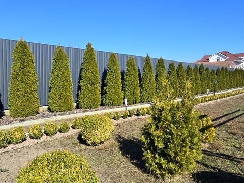 будинок за адресою с. Лебедівка, Шевченко, 8