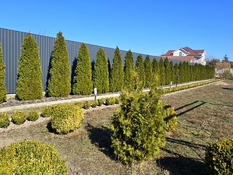 будинок за адресою с. Лебедівка, Шевченко, 8