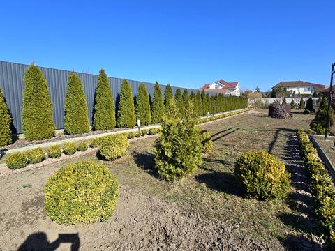 будинок за адресою с. Лебедівка, Шевченко, 8