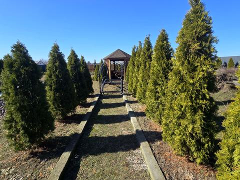 будинок за адресою с. Лебедівка, Шевченко, 8