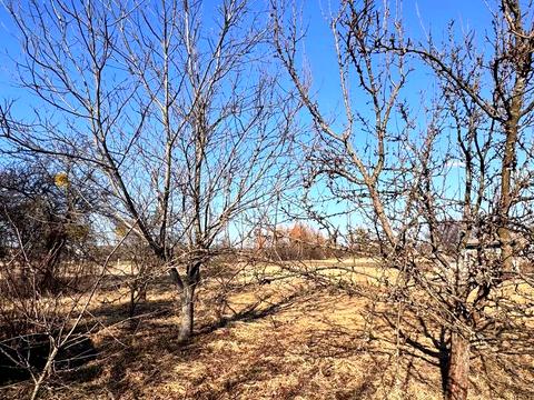 ділянка за адресою Шевченко, 36