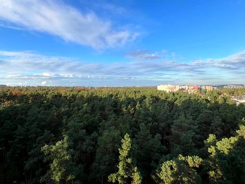 квартира за адресою Університетська вул., 3/8