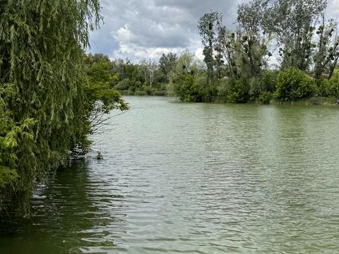 участок по адресу Старова