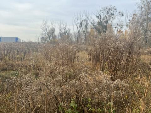 участок по адресу Чернинская ул., 6