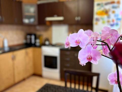 квартира за адресою Олени Теліги вул., 1