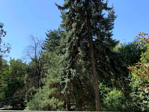 квартира за адресою Ужгород, Собранецька вул., 43