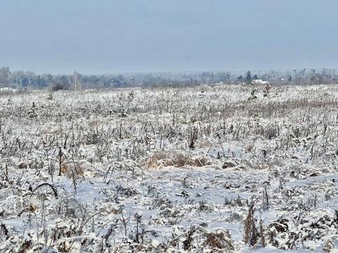 ділянка за адресою 